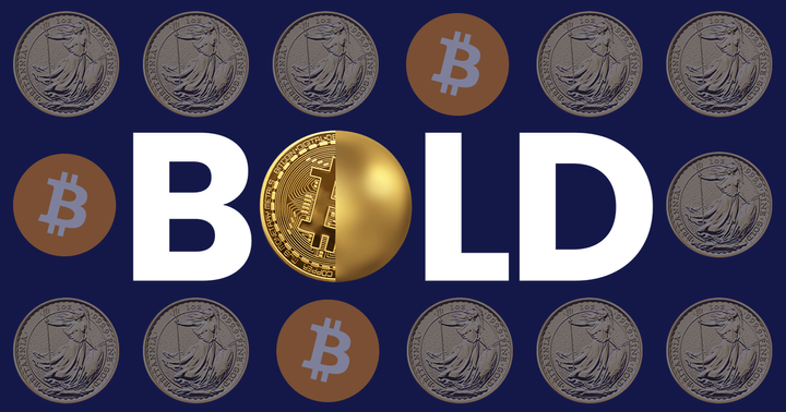 BOLD: 2024 in Review